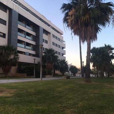 אל פוארטו דה סנטה מריה Gatu Premium El Vinedo, Centro, Parking, Aire Acc, Terraza Y Piscina Comun," Preferente Mayores De 25 Anos Y Familias " מראה חיצוני תמונה